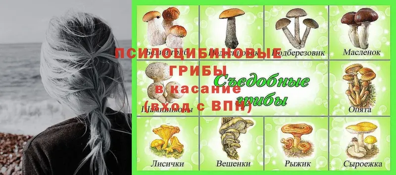 Галлюциногенные грибы мицелий  Воркута 